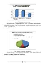Biznesa plāns 'Zīmols un tā attīstības faktori', 43.
