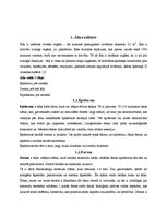 Referāts 'Ādas stāvokļa vērtējums dažādos platuma grādos un laika periodos', 4.