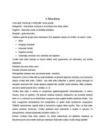 Referāts 'Ādas stāvokļa vērtējums dažādos platuma grādos un laika periodos', 7.