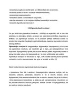 Referāts 'Ādas stāvokļa vērtējums dažādos platuma grādos un laika periodos', 8.