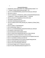 Referāts 'Ādas stāvokļa vērtējums dažādos platuma grādos un laika periodos', 17.