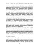 Diplomdarbs 'Pievienotās vērtības nodokļa administrēšanas specifika un problēmas Latvijā', 45.