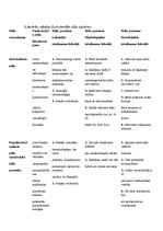 Konspekts 'Literārās valodas funkcionālo stilu pazīmes', 1.