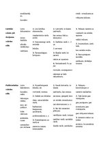 Konspekts 'Literārās valodas funkcionālo stilu pazīmes', 2.