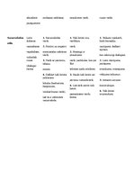 Konspekts 'Literārās valodas funkcionālo stilu pazīmes', 3.