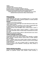 Konspekts 'Konspekts vēlēšanu analīzē', 6.