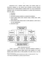 Referāts 'Administratīvie sodi', 8.