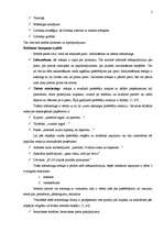 Konspekts 'Reklāmas kampaņa', 2.