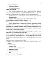 Konspekts 'Reklāmas kampaņa', 3.