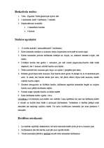 Konspekts 'Stafete 9.klases ieskaitei', 2.