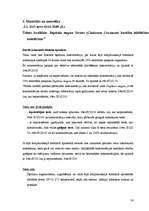 Referāts 'Daphnia magna izmantošana sintētisko mazgāšanas līdzekļu ietekmes noteikšanā ūde', 24.