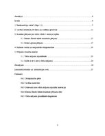 Referāts 'Vārds kā (dzīves) programma', 3.