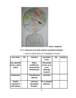 Referāts 'Vārds kā (dzīves) programma', 29.