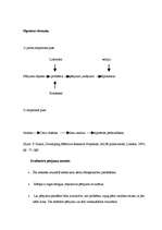 Konspekts 'Kvalitatīvais un kvantitatīvais pētījums', 4.