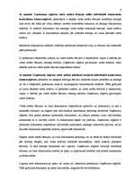 Referāts 'Individuālais komersants', 4.