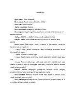 Diplomdarbs 'Radošo rotaļu nozīme bērnu attīstībā', 2.