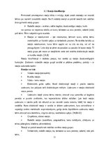 Diplomdarbs 'Radošo rotaļu nozīme bērnu attīstībā', 11.