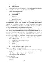 Diplomdarbs 'Radošo rotaļu nozīme bērnu attīstībā', 17.