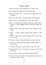 Diplomdarbs 'Radošo rotaļu nozīme bērnu attīstībā', 40.