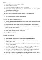 Prakses atskaite 'Pacienta vēsture fizioterapijas studentiem - neprecizēta postnatāla encefalopāti', 4.