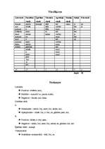 Referāts 'Literatūras pētniecības metodes', 8.