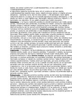 Konspekts 'Saimniecisko tiesību pamati ekonomistiem', 11.