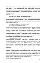 Referāts 'Tirgus izpēte uzņēmumam "Latvijas Balzams"', 19.