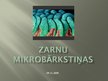Prezentācija 'Zarnu floras mikrobārkstiņas', 1.