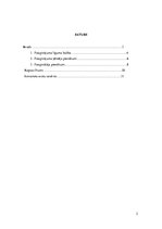 Referāts 'Tiesiskās attiecības no patapinājuma līguma', 2.