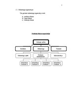 Referāts 'Jauna produkta ieviešanas stratēģija pārtikas tirgū', 9.
