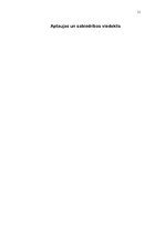 Referāts 'Jauna produkta ieviešanas stratēģija pārtikas tirgū', 13.