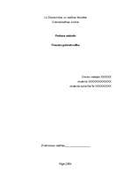 Prakses atskaite 'Finanšu grāmatvedība', 1.