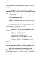 Prakses atskaite 'Finanšu grāmatvedība', 17.