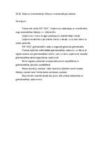 Prakses atskaite 'Finanšu grāmatvedība', 19.