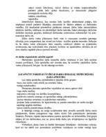 Referāts 'Ergoterapija. Atkārtotas kustības un to izraisītā patoloģija', 6.