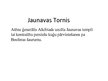 Prezentācija 'Stambula', 17.
