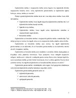 Eseja 'Publiskā diplomātija', 3.