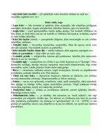 Konspekts 'Tests "Mans koks"', 2.