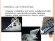 Prezentācija 'Origami saistība ar matemātiku un citām dzīves jomām', 16.