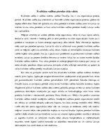 Eseja 'Kvalitātes vadības pieredze dažādās valstīs', 2.