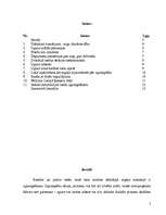 Referāts 'Uguns mežā', 2.