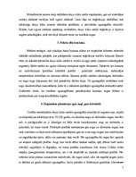 Referāts 'Uguns mežā', 7.