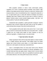 Referāts 'Uguns mežā', 9.