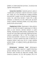 Diplomdarbs 'Lāzerprintera "HP LaserJet 4000" uzbūve un tehniskā apkope', 19.