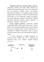 Diplomdarbs 'Lāzerprintera "HP LaserJet 4000" uzbūve un tehniskā apkope', 31.