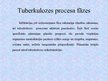 Prezentācija 'Tuberkuloze', 11.
