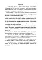 Diplomdarbs 'Krāslavas rajona veselības aprūpes sistēmas pilnveidošana', 3.