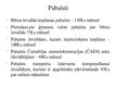 Prezentācija 'Invalīdu sociālās aizsardzības finansējums Latvijā un pasaulē', 15.