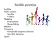 Prezentācija 'Invalīdu sociālās aizsardzības finansējums Latvijā un pasaulē', 16.