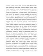 Referāts 'Mežs un tā loma mūsu dzīvē', 11.